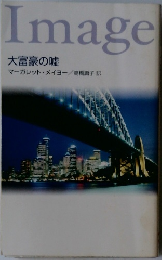 大富豪の嘘