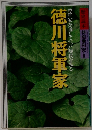 徳川将軍家