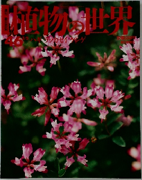 植物の世界　46
