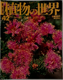 植物の世界　42号　ユーカリ フトモモシケンシ