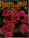 植物の世界　42号　ユーカリ フトモモシケンシ