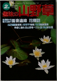 趣味の山野草2月号