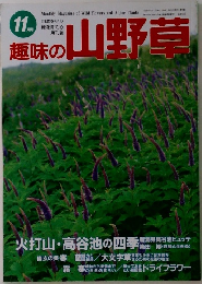 趣味の山野草　１１月