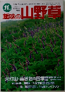 趣味の山野草　１１月