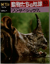 朝日百科　動物たちの地球　53