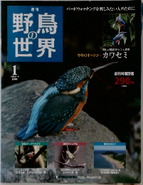 野鳥の世界　１