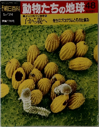 朝日百科 動物たちの地球 48