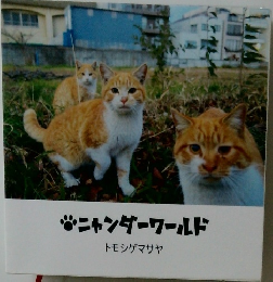 ニャンダーワールド  トモシゲマサヤ