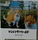 ニャンダーワールド  トモシゲマサヤ