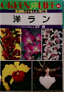 洋ラン