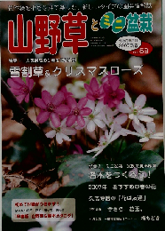 山野草とミニ盆栽 2007年1月号 [雑誌]