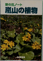 野の花ノート　　嵐山の植物