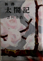 新書太閤記