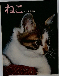 ねこ