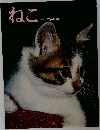 ねこ