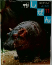 キンダーブック 11　かば
