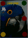 学研の図鑑  鳥