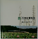 荒神谷博物館