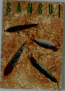 SANSUI　catalogue 6