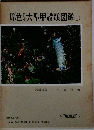 原色日本大型甲殻類図鑑 I