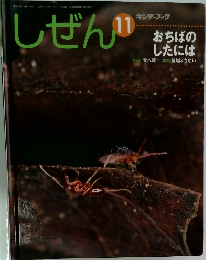 しぜん11　　おちばのしたには