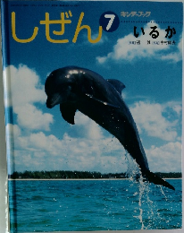 キンダーブック　しぜん　7　いるか