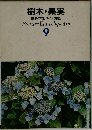 樹木 果実  原色学習ワイド図鑑  Picture Encyclopedia  9