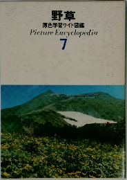 野草  原色学習ワイド図鑑　7