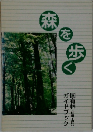 森を歩く