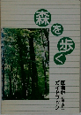 森を歩く