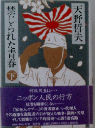 禁じられた青春 下