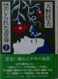 禁じられた青春 上