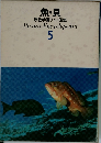 魚・貝  原色学習ワイド図鑑　5
