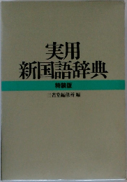 実用新国語辞典　特装版