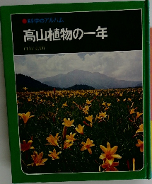 高山植物の一年