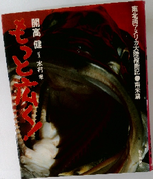 もっと広く!　南北両アメリカ大陸縦断記・南米篇