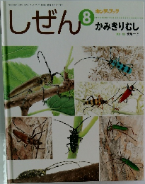 キンダーブック　しぜん　8　かみきりむし
