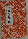 ツガル語の謎