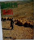 TRAVEL IN ARABIA