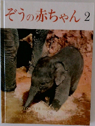 ぞうの赤ちゃん　2
