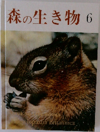 森の生き物　6