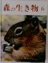 森の生き物　6