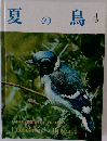 夏の鳥4