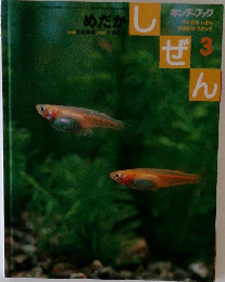 キンダーブック　しぜん　3　めだか