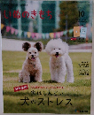 いぬのきもち　2024/10