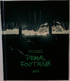 ONE OK ROCK  PRIMAL  FOOTMARK  #14