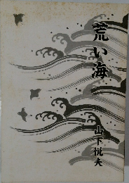 荒い海