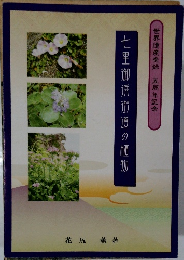 七里御浜街道の植物