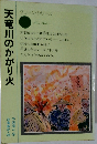天竜川のかがり火