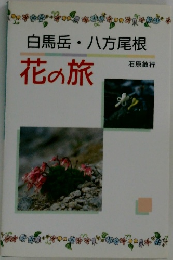 白馬岳 八方尾根  花の旅